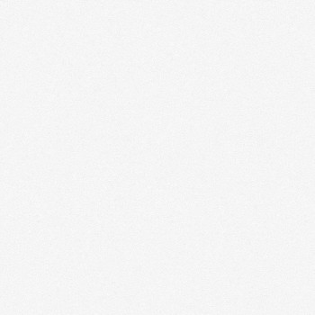 The View TWall 9829-6