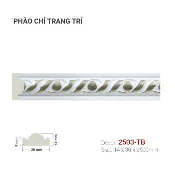 Wall Molding 2503-TB