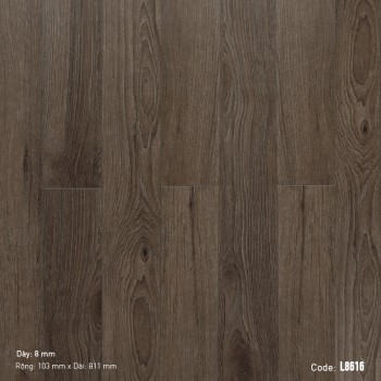 Dream Lucky Laminate Flooring L8616