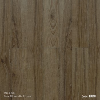 Dream Lucky Laminate Flooring L8618