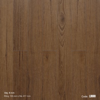 Dream Lucky Laminate Flooring L8669