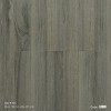 Dream Lucky Laminate Flooring L8690