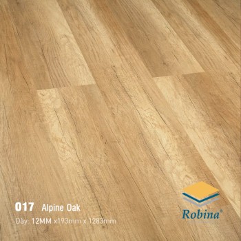 Robina 12mm O17