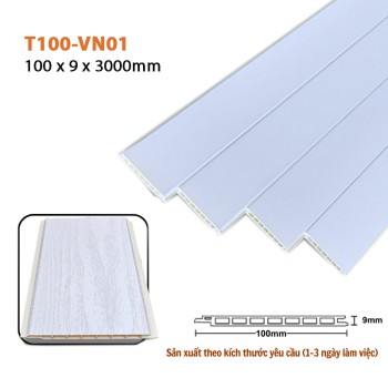 Wall Panel T100-VN01 
