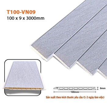 Wall Panel T100-VN09 