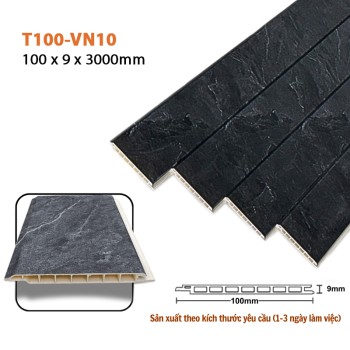 Wall Panel T100-VN10