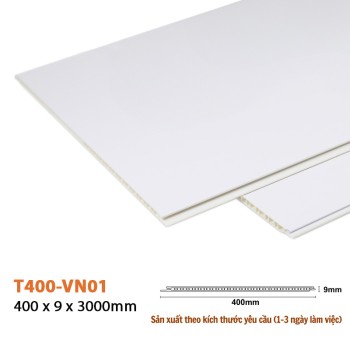 Wall Panel T400-VN01 