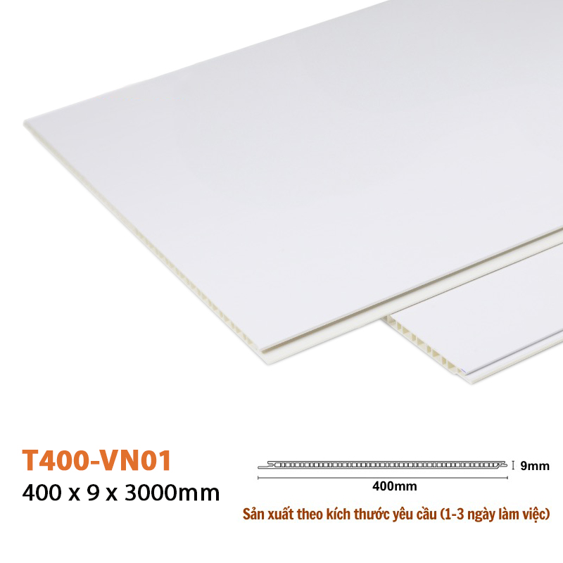 Wall Panel T400-VN01 