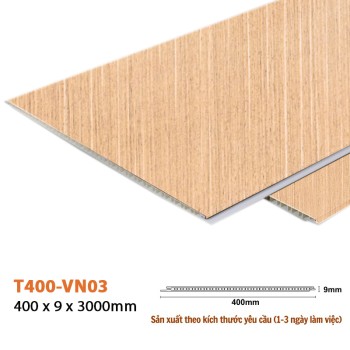 Wall Panel T400-VN03