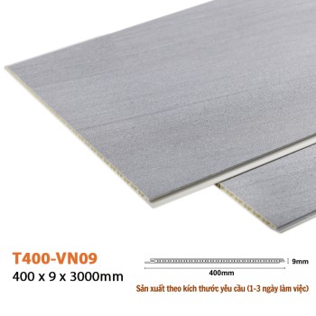 Wall Panel T400-VN09