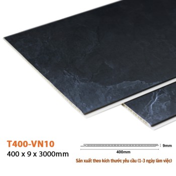 Wall Panel T400-VN10